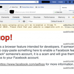 How to add message in Developer Console same as Facebook